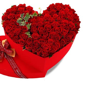 Red Roses Millie Lebanon